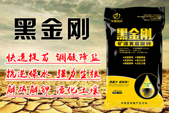 黑金刚矿源黄腐酸钾使用效果这么好!使用方法了解一下吧! 黑金刚矿源黄腐酸钾使用效果这么好!使用方法了解一下吧!